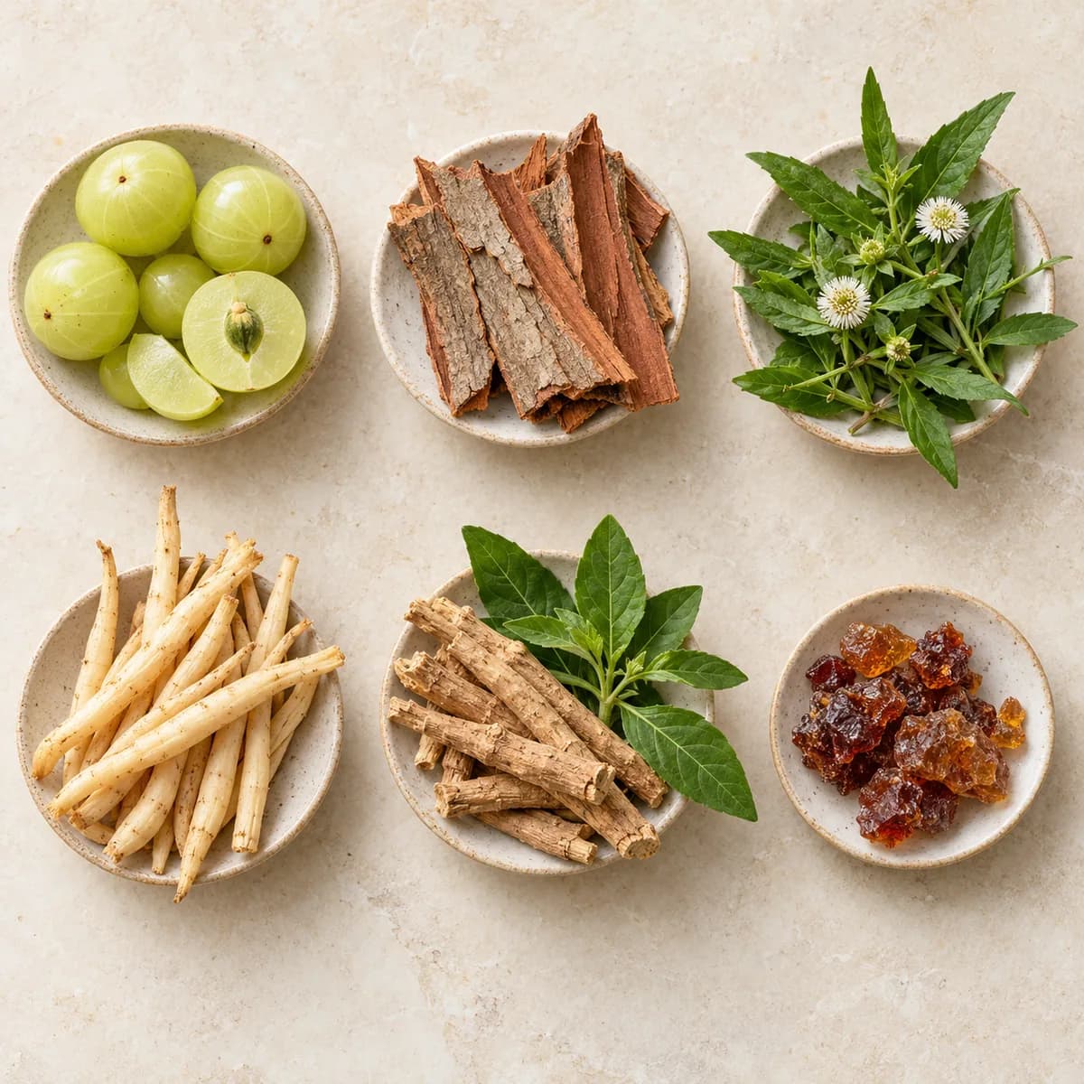 Bowls of amla, arjun bark, bhringraj, shatavari, ashwagandha and lac resin